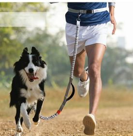 Hands Free Dog Leash for Medium/Large Dogs (Specification (L * W): 2.5 x 160 cm, Colors: Orange - 4211)